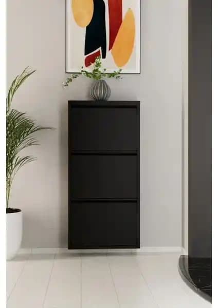 Evde Modern ve Dayanıklı Metal Ayakkabılık Siyah 3 Kapaklı Tasarım